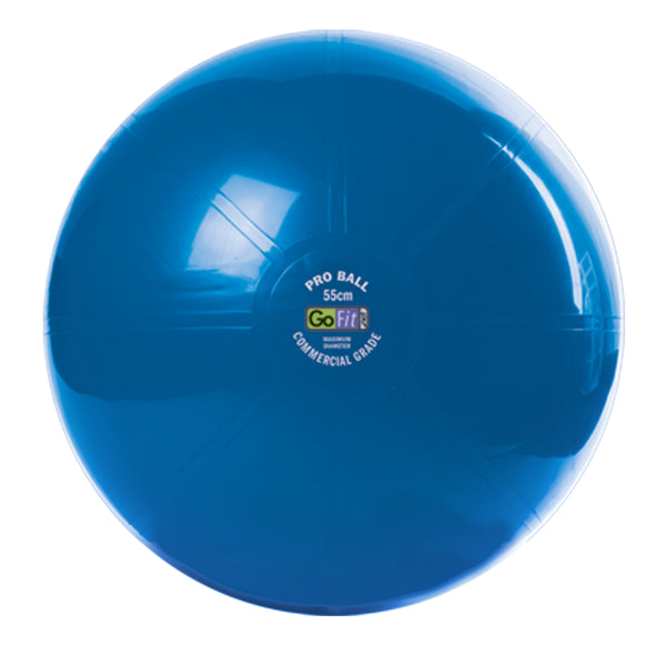 55cm Super Ball - Commercial Grade Stability Ball