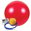 55cm Stability Ball & components 
