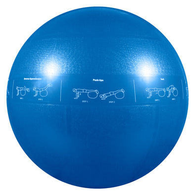 55cm Guide Ball - Pro Grade Stability Ball
