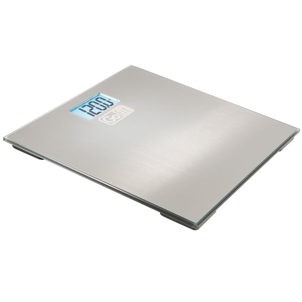 Stainless Steel Scale
