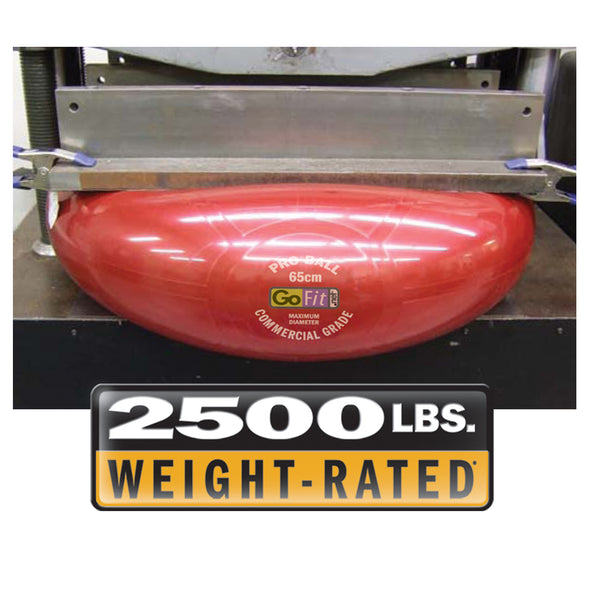 2500lbs weight-rated